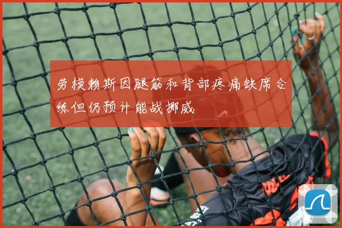 劳模赖斯因腿筋和背部疼痛缺席合练但仍预计能战挪威