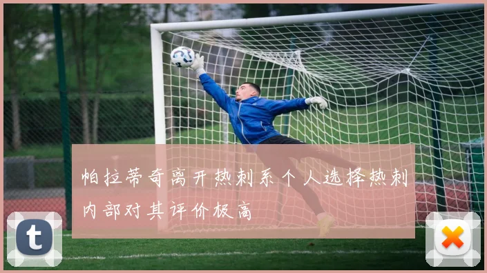 帕拉蒂奇离开热刺系个人选择热刺内部对其评价极高