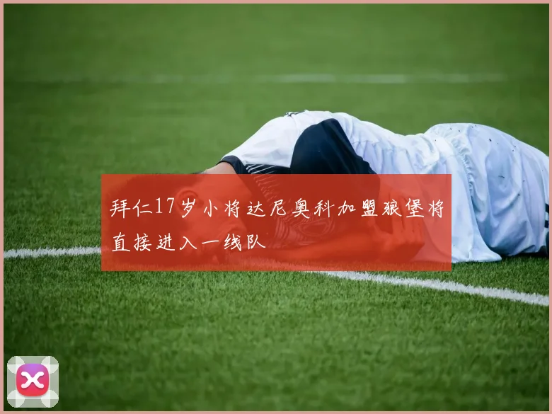 拜仁17岁小将达尼奥科加盟狼堡将直接进入一线队